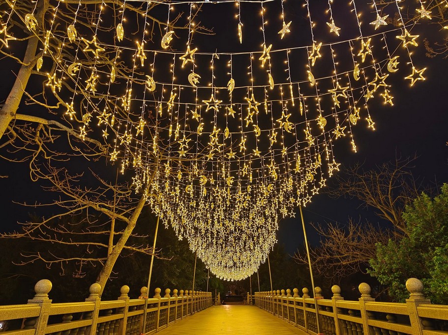 竹林山觀音寺夜櫻櫻花