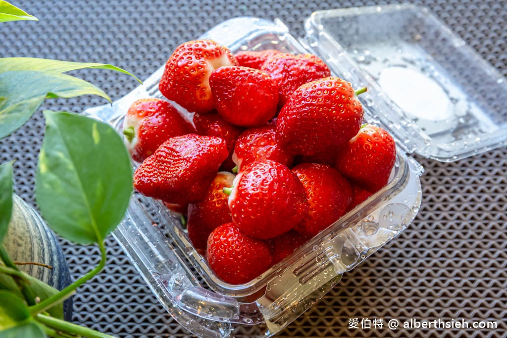 南投埔里採草莓推薦．台一生態休閒農場（無毒草莓季開跑，草莓盒隨你裝到滿最低只要150） @愛伯特吃喝玩樂全記錄