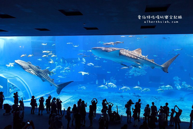 沖縄美麗海水族館（令人驚艷的世界最大規模水族館） @愛伯特