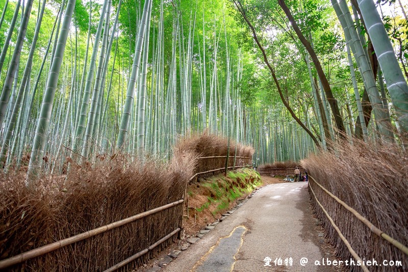 京都嵐山景點。嵯峨野竹林小徑
