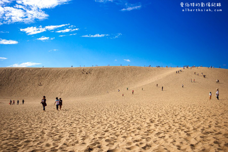 鳥取砂丘．鳥取景點自由行（令人嘆為觀止的大自然砂丘海岸） @愛伯特吃喝玩樂全記錄