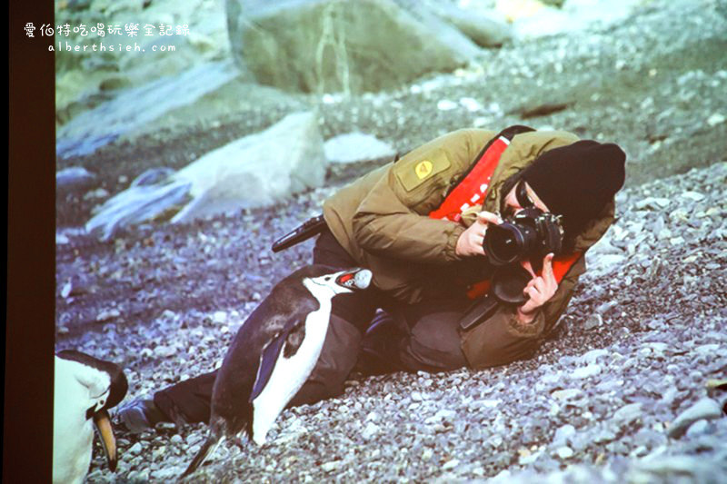 吉光旅遊．南極「極地探險 企鵝攝獵」旅遊講座（一生中一定要來的地方！） @愛伯特吃喝玩樂全記錄