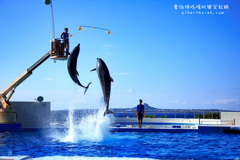 沖繩自駕自由行．海洋水族館