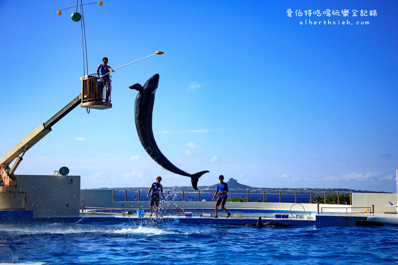 沖繩自駕自由行．海洋水族館