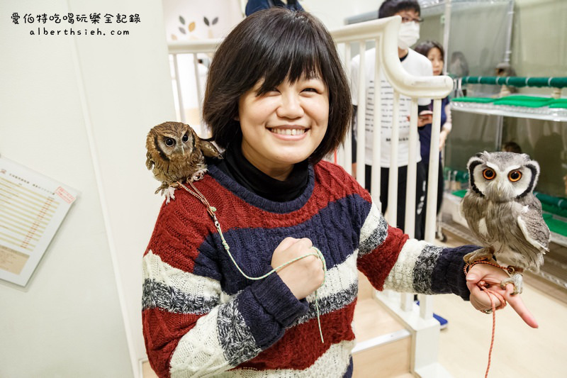 九州福岡必去．OWL Family 貓頭鷹咖啡廳（超療癒超萌可愛值爆表） @愛伯特吃喝玩樂全記錄