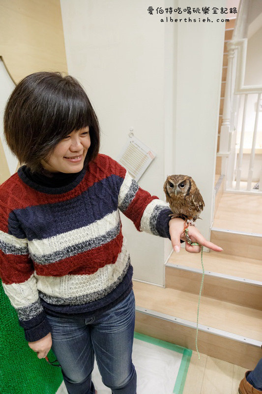 九州福岡必去．OWL Family 貓頭鷹咖啡廳（超療癒超萌可愛值爆表） @愛伯特吃喝玩樂全記錄