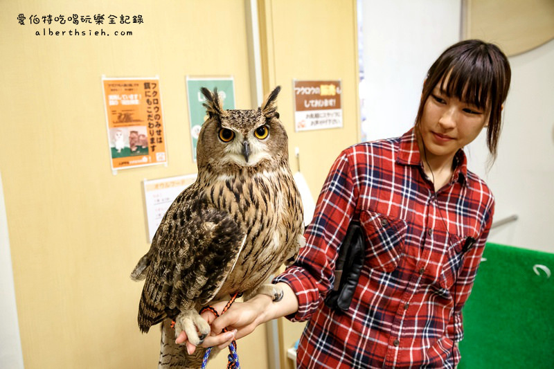 福岡必去．OWL Family 貓頭鷹咖啡廳