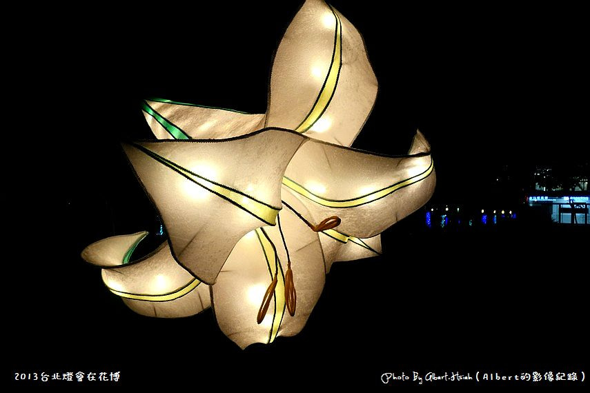 【燈會】台北大同．2013台北燈會在花博（美術公園燈區） @愛伯特吃喝玩樂全記錄
