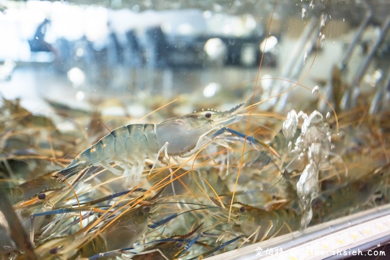 桃園真蝦流頂級水道蝦餐廳